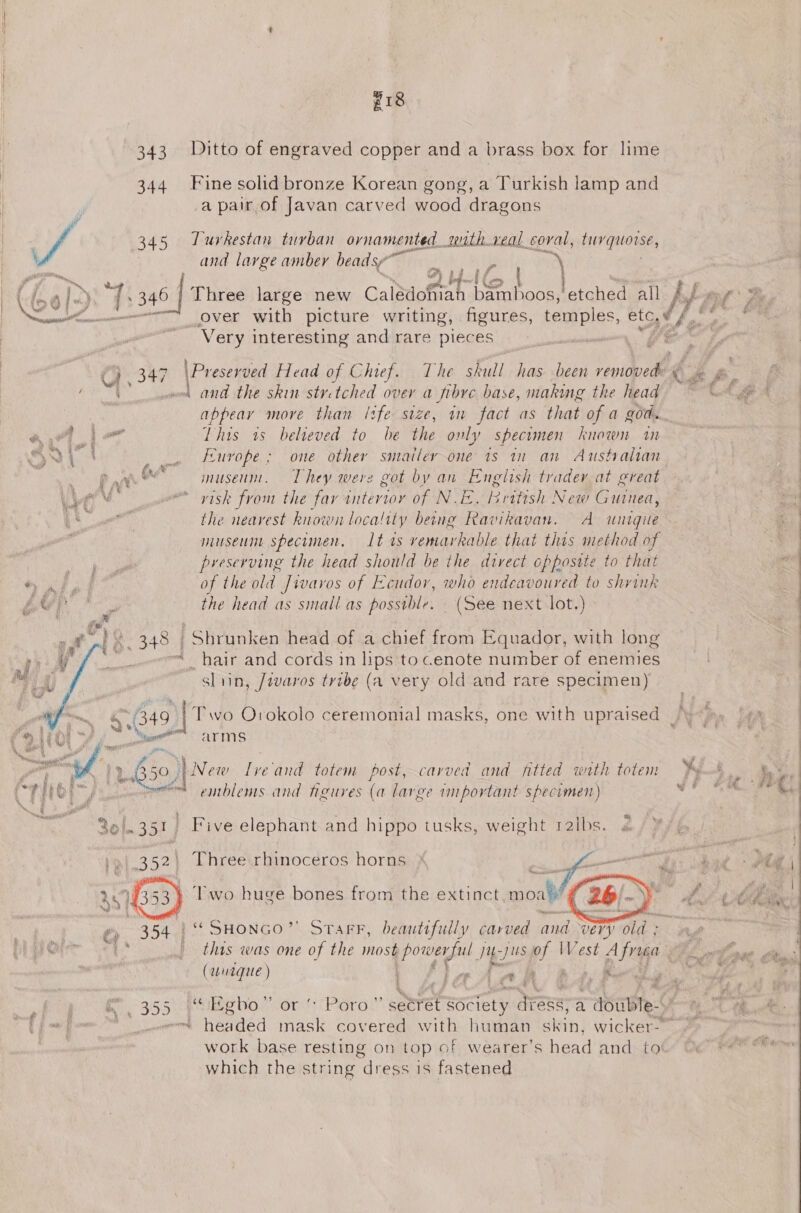 #18 343 Ditto of engraved copper and a brass box for lime 344 Fine solid bronze Korean gong, a Turkish lamp and a pair of Javan carved wood dragons A | 345 Turkestan turban ornamented with.xveal coral, bur quotse, \ and large amber beadsy~ ei ma ro % 141 ~&gt;61«) aw 346 | Three large new Calédohian {et ostetched all ihe momen over with picture writing, figures, temples, etc. / ~~ Very interesting and rare pieces &amp; ? C) 347 \Preserved Head of Chief. The skull has been removed: ¢ . ge 6 sowed andl the skin stretched over a fibre base, making the head igs a appeay more than Itfe size, in fact as that of a god. Ps Oe Roe This 1s believed to be the only specimen known in SY _ Furope; one other smailey one is in an Australian we 7 fv snusenm. They were got by an English trader at great Lin e yisk from the fay intertor of NEES. be hinal; New Guitiea, a the nearest known locality being Ravikavan. A unique museum specimen. Lt as vemarkable that this method of ark preserving the head should be the divect opposite to that we Pe | of the old Jivaros of Ecudor, who endeavoured to shrink OP the head as small as possible. _ (See next lot.) 348 | Shrunken head of a chief from Equador, with long “ _hair and cords in lips to cenote number of enemies sliin, /ivaros tribe (a very old and rare specimen) o B49. | Two Orokolo ceremonial masks, one with upraised See 7 (arms ee 650) |New Ive and totem post, carved and fitted with totem Py mt emblems and figures (a large important specimen)  Rol. 354 J | Five elephant and hippo tusks, weight ralbs Three rhinoceros horns * wn ee “Weey ‘Two huge bones from the extinct. mo  1“ SHONGO”’ Starr, beautifully carved and very old : thas was one Sah most Mire pss of West aE Fh oe (wuique) ahah tibet  ; % a) ne 350) “eho.” or‘: Poro!  genret Society Wraee- a r aiote.6 tp] saaeowt headed ial covered with human skin, wicker- work base resting on top of wearer's head and which the string dress is fastened