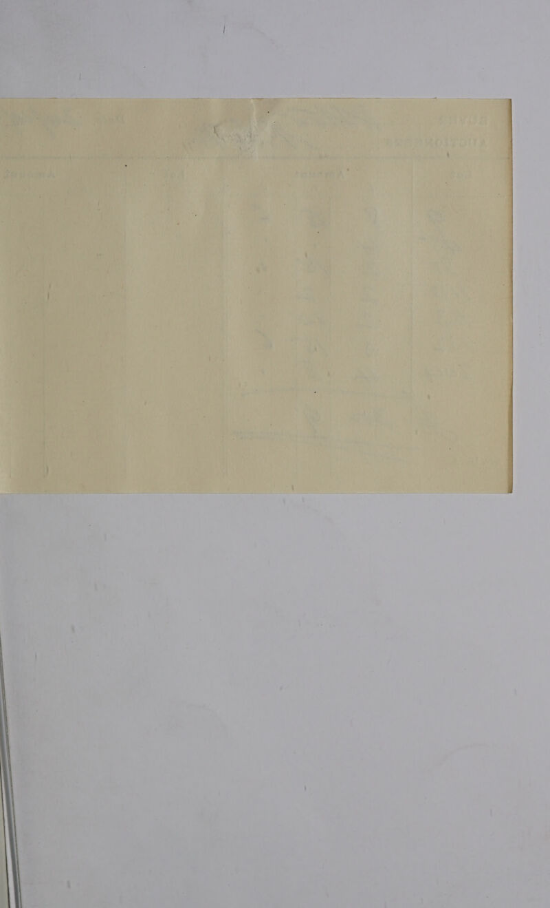 ' eens a “ ‘ vite  Ar \ an   wifed os es * ' ; iy vu nm ae Hott cosa an nN n  : ay ia t ~ ia at, Ny Ag my i + ei j Pe | - ‘we \ ) é oe ,  Ww X - ~ 4 i. + t } ia : fe j m a cy; 4 fo Wiest a if J a“ A vay 2 i vi ia (<a ' i is act oy 4 “i { * ; i + et. Ul ao ee oe : 41 See wt : 4 A Pete ait > Fa a. vy ry a’ ; Vie | ‘ ' eee f «x ‘ . ‘ 