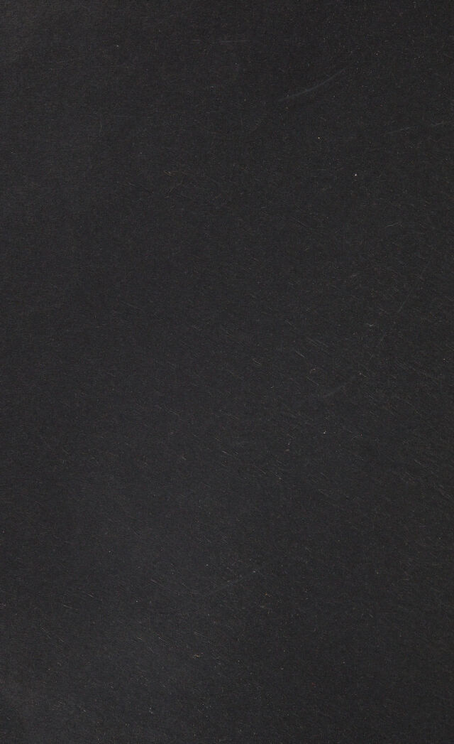 digitised image 2