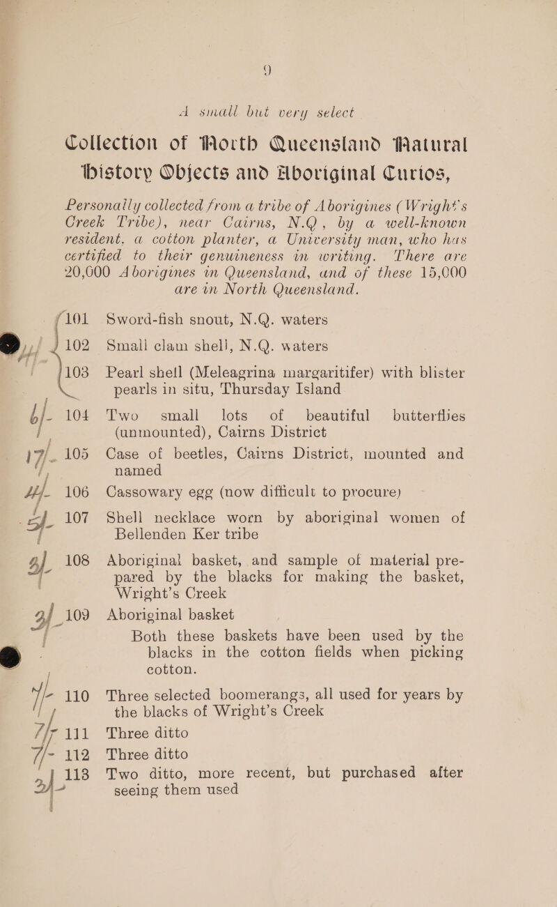 d small but very select There are f101 if J 102 103 b/- 104 By: 17/- 105 Hy. 106 Sp 107 a) 108 3f_103 | o)- 110 binf 7p 11 7/- 112 113 aad 4 g 3 &amp; are wm North Queensland. Sword-fish snout, N.Q. waters Small clam shell, N.Q. waters Pearl shell (Meleagrina margaritifer) with blister pearls in situ, Thursday Island Two small lots of beautiful (unmounted), Cairns District Case of beetles, Cairns District, mounted and named butterflies Cassowary egg (now difficult to procure) Shell necklace worn by aboriginal women of Bellenden Ker tribe Aboriginal basket, and sample of material pre- pared by the blacks for making the basket, Wright’s Creek Aboriginal basket Both these baskets have been used by the blacks in the cotton fields when picking cotton. Three selected boomerangs, all used for years by the blacks of Wright’s Creek Three ditto Three ditto Two ditto, more recent, but purchased after seeing them used