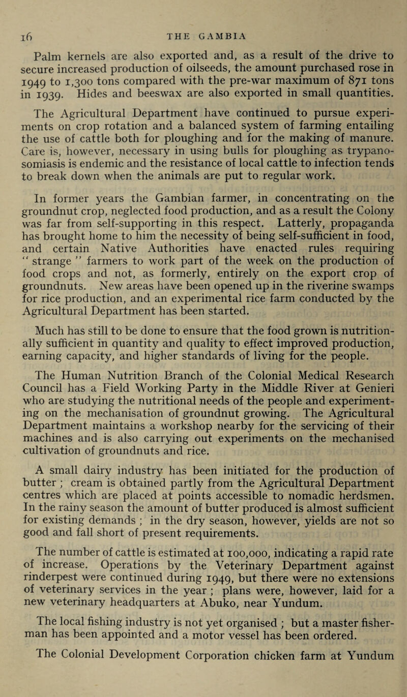 Palm kernels are also exported and, as a result of the drive to secure increased production of oilseeds, the amount purchased rose in 1949 to 1,300 tons compared with the pre-war maximum of 871 tons in 1939. Hides and beeswax are also exported in small quantities. The Agricultural Department have continued to pursue experi¬ ments on crop rotation and a balanced system of farming entailing the use of cattle both for ploughing and for the making of manure. Care is, however, necessary in using bulls for ploughing as trypano¬ somiasis is endemic and the resistance of local cattle to infection tends to break down when the animals are put to regular work. In former years the Gambian farmer, in concentrating on the groundnut crop, neglected food production, and as a result the Colony was far from self-supporting in this respect. Latterly, propaganda has brought home to him the necessity of being self-sufficient in food, and certain Native Authorities have enacted rules requiring “ strange ” farmers to work part of the week on the production of food crops and not, as formerly, entirely on the export crop of groundnuts. New areas have been opened up in the riverine swamps for rice production, and an experimental rice farm conducted by the Agricultural Department has been started. Much has still to be done to ensure that the food grown is nutrition¬ ally sufficient in quantity and quality to effect improved production, earning capacity, and higher standards of living for the people. The Human Nutrition Branch of the Colonial Medical Research Council has a Field Working Party in the Middle River at Genieri who are studying the nutritional needs of the people and experiment¬ ing on the mechanisation of groundnut growing. The Agricultural Department maintains a workshop nearby for the servicing of their machines and is also carrying out experiments on the mechanised cultivation of groundnuts and rice. A small dairy industry has been initiated for the production of butter ; cream is obtained partly from the Agricultural Department centres which are placed at points accessible to nomadic herdsmen. In the rainy season the amount of butter produced is almost sufficient for existing demands ; in the dry season, however, yields are not so good and fall short of present requirements. The number of cattle is estimated at 100,000, indicating a rapid rate of increase. Operations by the Veterinary Department against rinderpest were continued during 1949, but there were no extensions of veterinary services in the year ; plans were, however, laid for a new veterinary headquarters at Abuko, near Yundum. The local fishing industry is not yet organised ; but a master fisher¬ man has been appointed and a motor vessel has been ordered. The Colonial Development Corporation chicken farm at Yundum