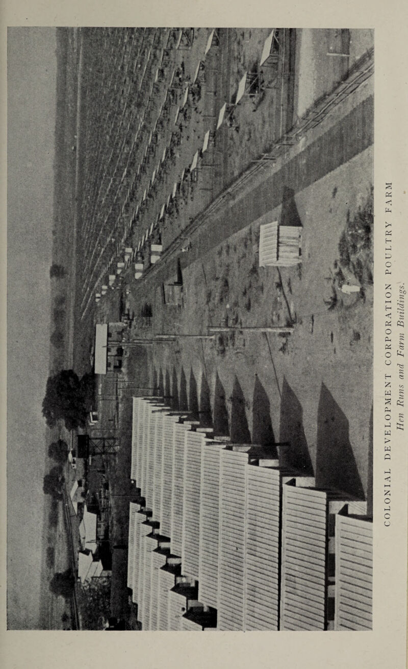 COLONIAL DEVELOPMENT CORPORATION POULTRY FARM Hen Runs and Farm Buildings.
