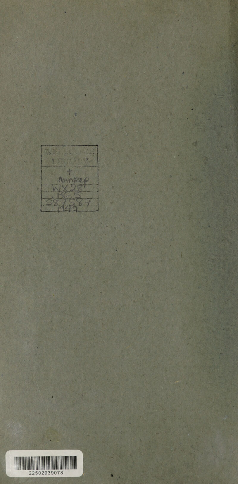 * • * /*• ' ■“ . : - - . 5 , ■■ • •• . •: v.->- &■ •••- •*>>*• ■ - -f: . ' ■ .A-*®