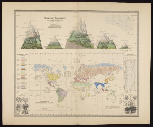 digitised image 1