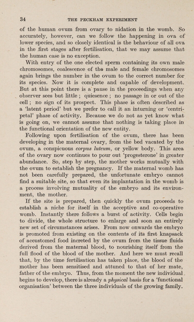 of the human ovum from ovary to nidation in the womb. So accurately, however, can we follow the happening in ova of lower species, and so closely identical is the behaviour of all ova in the .first stages after fertilisation, that we may assume that the human case is no exception. With entry of the one elected sperm containing its own male chromosomes, coalescence of the male and female chromosomes again brings the number in the ovum to the correct number for its species. Now it is complete and capable of development. But at this point there is a pause in the proceedings when any observer sees but little ; quiesence ; no passage in or out of the cell; no sign of its prospect. This phase is often described as a ‘latent period’ but we prefer to call it an inturning or ‘centri¬ petal’ phase of activity. Because we do not as yet know what is going on, we cannot assume that nothing is taking place in the functional orientation of the new entity . Following upon fertilisation of the ovum, there has been developing in the maternal ovary, from the bed vacated by the ovum, a conspicuous corpus luteum., or yellow body. This area of the ovary now continues to pour out ‘progesterone’ in greater abundance. So, step by step, the mothef works mutually with the ovum to establish the pregnancy. If the maternal womb has not been carefully prepared, the unfortunate embryo cannot find a suitable site, so that even its implantation in the womb is a process involving mutuality of the embryo and its environ¬ ment, the mother. If the site is prepared, then quickly the ovum proceeds to establish a niche for itself in the acceptive and co-operative womb. Instantly there follows a burst of activity. Cells begin to divide, the whole structure to enlarge and soon an entirely new set of circumstances arises. From now onwards the embryo is promoted from existing on the contents of its first knapsack of accustomed food increted by the ovum from the tissue fluids derived from the maternal blood, to nourishing itself from the full flood of the blood of the mother. And here we must recall that, by the time fertilisation has taken place, the blood of the mother has been sensitised and attuned to that of her mate, father of the embryo. Thus, from the moment the new individual begins to develop, there is already a physical basis for a ‘functional organisation’ between the three individuals of the growing family.