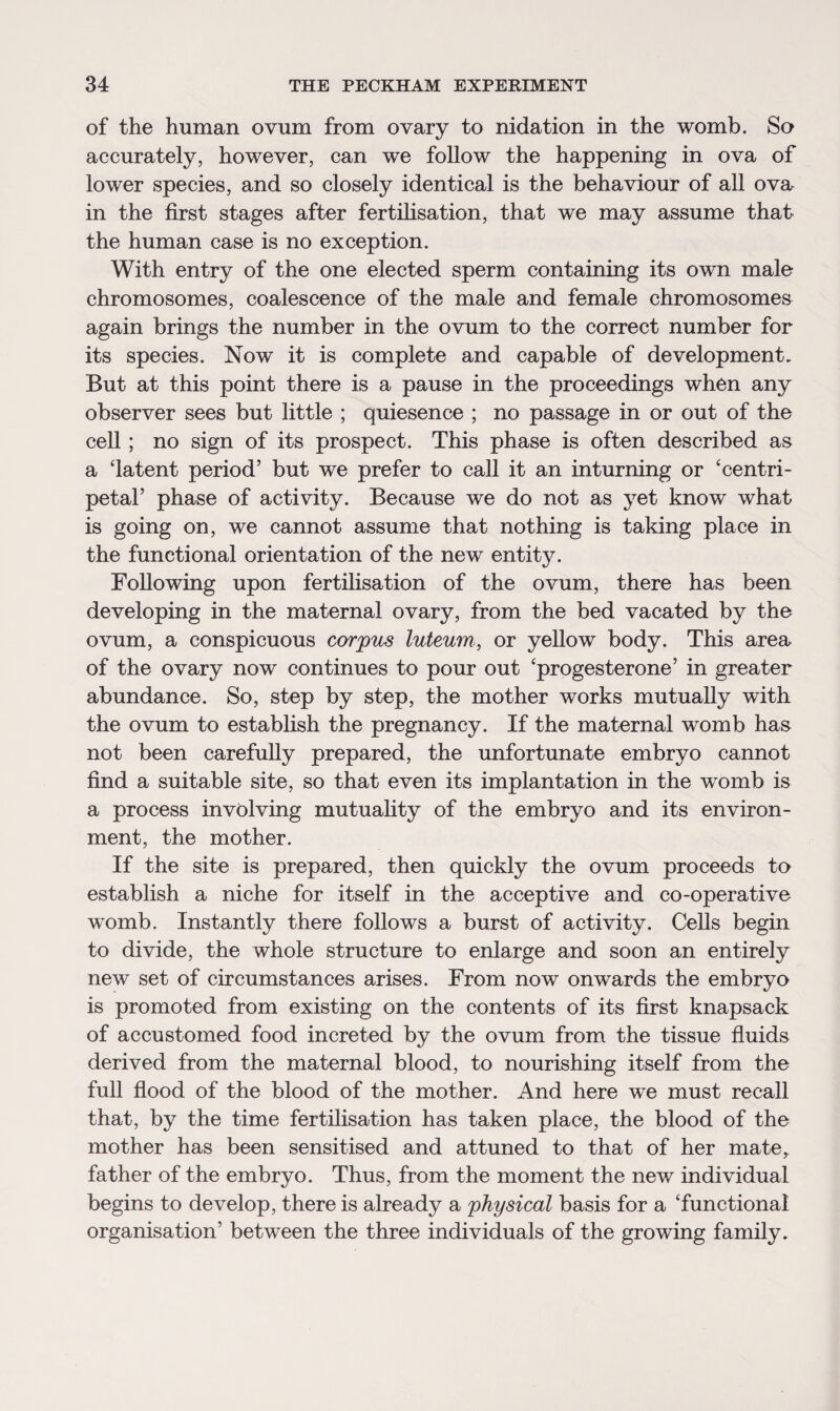 of the human ovum from ovary to nidation in the womb. So accurately, however, can we follow the happening in ova of lower species, and so closely identical is the behaviour of all ova in the first stages after fertilisation, that we may assume that the human case is no exception. With entry of the one elected sperm containing its own male chromosomes, coalescence of the male and female chromosomes again brings the number in the ovum to the correct number for its species. Now it is complete and capable of development. But at this point there is a pause in the proceedings when any observer sees but little ; quiesence ; no passage in or out of the cell; no sign of its prospect. This phase is often described as a ‘latent period’ but we prefer to call it an inturning or ‘centri¬ petal’ phase of activity. Because we do not as yet know what is going on, we cannot assume that nothing is taking place in the functional orientation of the new entity. Following upon fertilisation of the ovum, there has been developing in the maternal ovary, from the bed vacated by the ovum, a conspicuous corpus luteum, or yellow body. This area of the ovary now continues to pour out ‘progesterone’ in greater abundance. So, step by step, the mother works mutually with the ovum to establish the pregnancy. If the maternal womb has not been carefully prepared, the unfortunate embryo cannot find a suitable site, so that even its implantation in the womb is a process involving mutuality of the embryo and its environ¬ ment, the mother. If the site is prepared, then quickly the ovum proceeds to establish a niche for itself in the acceptive and co-operative womb. Instantly there follows a burst of activity. Cells begin to divide, the whole structure to enlarge and soon an entirely new set of circumstances arises. From now onwards the embryo is promoted from existing on the contents of its first knapsack of accustomed food increted by the ovum from the tissue fluids derived from the maternal blood, to nourishing itself from the full flood of the blood of the mother. And here we must recall that, by the time fertilisation has taken place, the blood of the mother has been sensitised and attuned to that of her mate, father of the embryo. Thus, from the moment the new individual begins to develop, there is already a physical basis for a ‘functional organisation’ between the three individuals of the growing family.