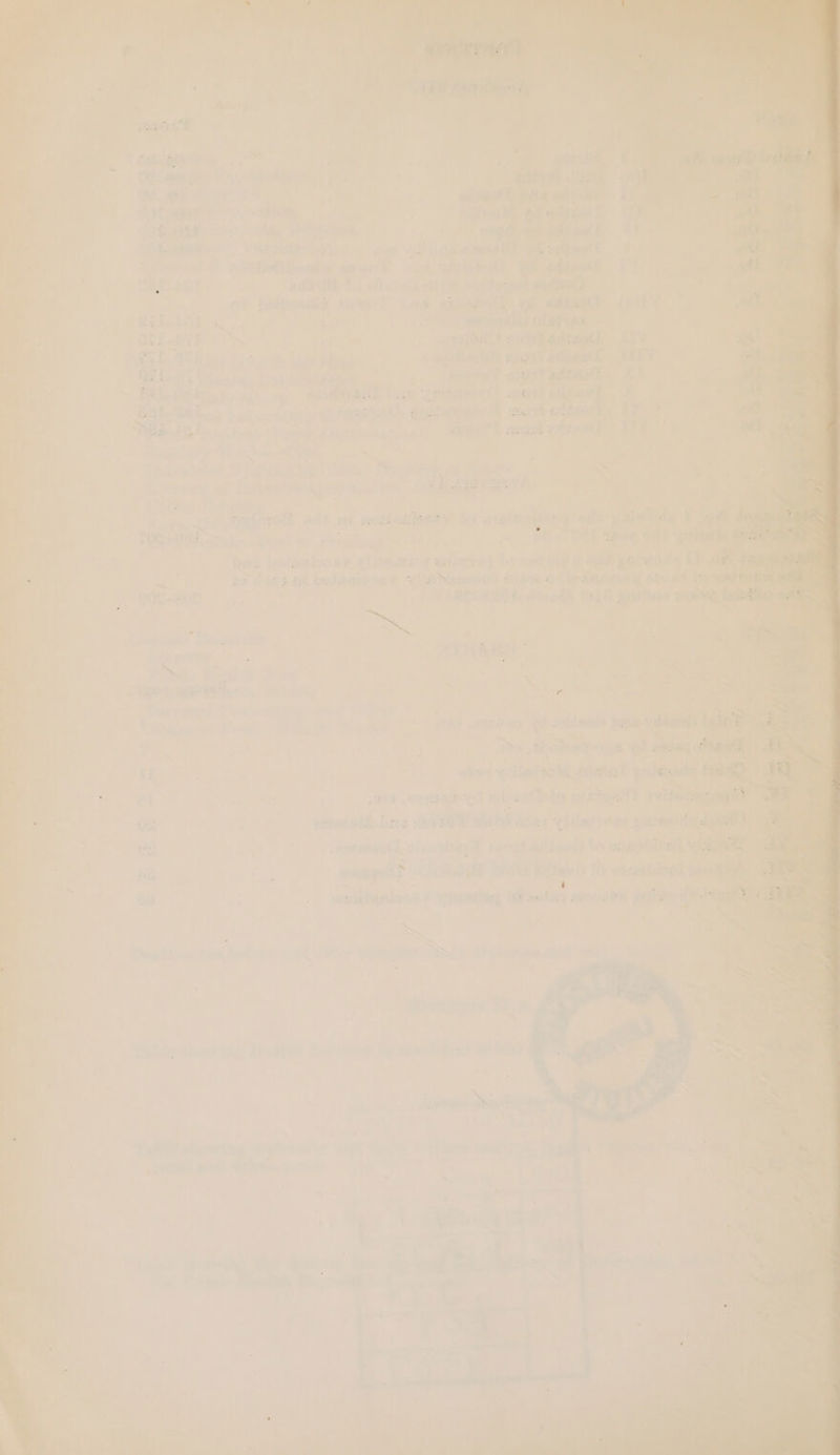 inh yal us * } ae a 72\re- wid ing, ~ +1 ee ee ae dus FE Wont aiviht 1 iri) i'w why ho 4 4 nals ye oh wane wt olga adi alee AT a4 ; » rs ta a2 : ¥% Asal £ kl f patch aD ad Sa: iT wont 44 ies Hy = ,4