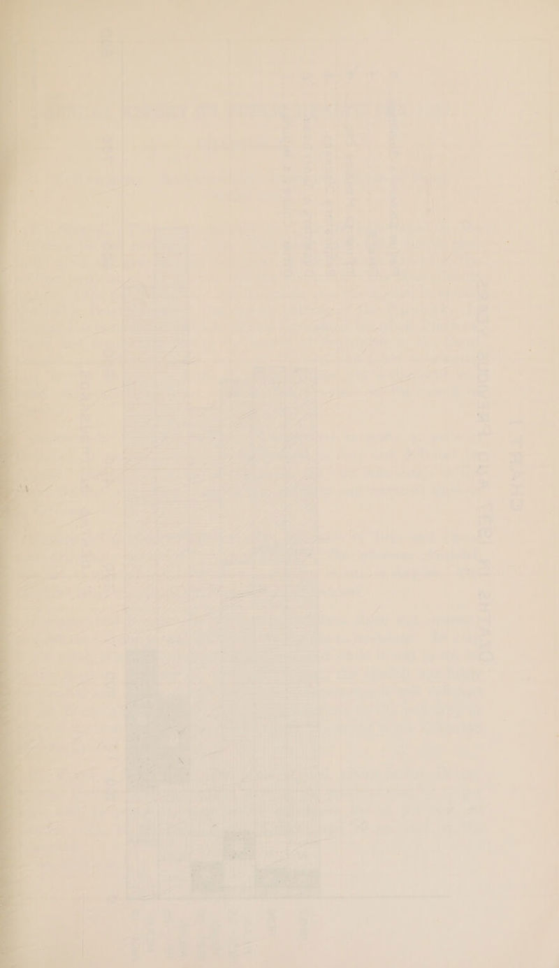 ; + , ; , ] a Qn a r= i. 2 “ } : + . . 7 4 o  eT ~ a] * be i - ; = nt hey 7 ae Yd = ww nal meen th &amp; = @ Se \ ‘ % r hy re a) ' : sy 7 « A ae x = : —— 7 . t iv L | - y Doro te egret oy mates + 9 my HET ier TO laa ere % : ¥ hae © - a3 4) +
