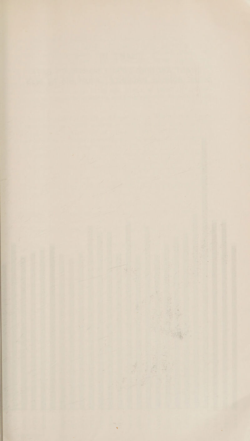 \ i ; \ ee ee ‘ ‘ mm ; . , A < + 3 i ' iy Ay ? Rs i 3 : ; x ; f i \ P , Z Pi ’ r he eee = ‘ f ~ Dre |