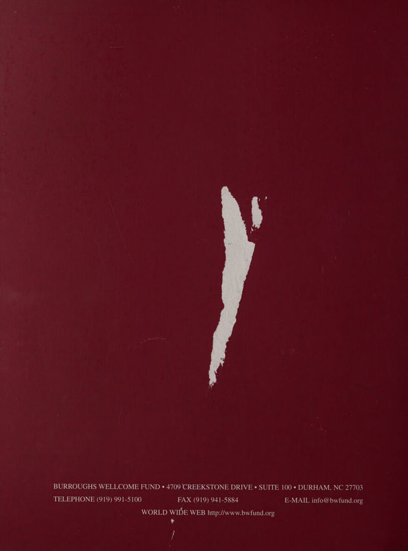 BURROUGHS WELLCOME FUND ° 4709 CREEKSTONE DRIVE « SUITE 100 * DURHAM, NC 27703 TELEPHONE (919) 991-5100 FAX (919) 941-5884 E-MAIL info@bwfund.org WORLD WIDE WEB http://www.bwfund.org bg }