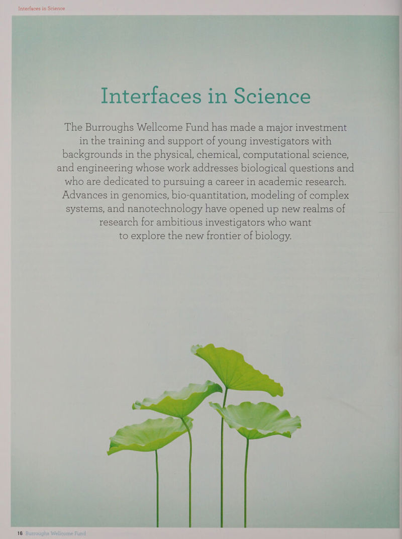 Interfaces in Science Interfaces in Science The Burroughs Wellcome Fund has made a major investment in the training and support of young investigators with backgrounds in the physical, chemical, computational science, and engineering whose work addresses biological questions and who are dedicated to pursuing a career in academic research. Advances in genomics, bio-quantitation, modeling of complex systems, and nanotechnology have opened up new realms of research for ambitious investigators who want to explore the new trontier of biology. ; ‘ig Bees. =.