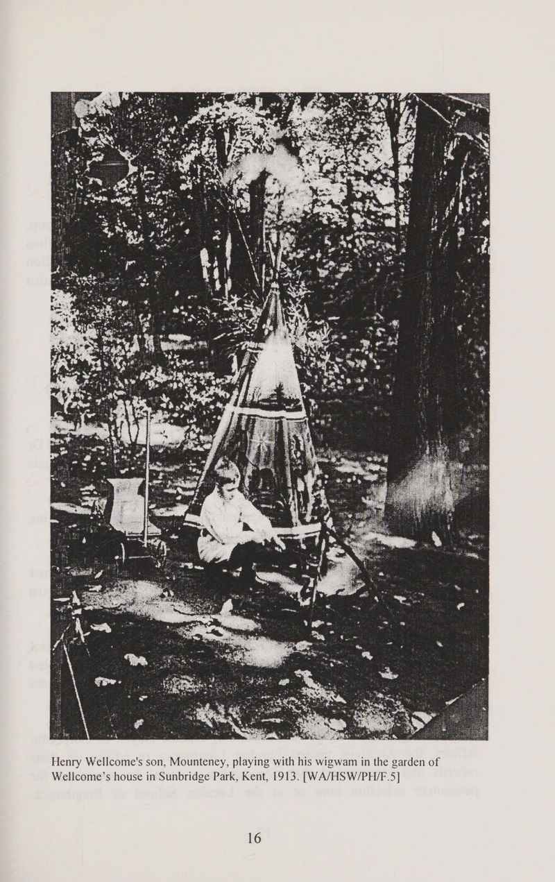 No text description is available for this image