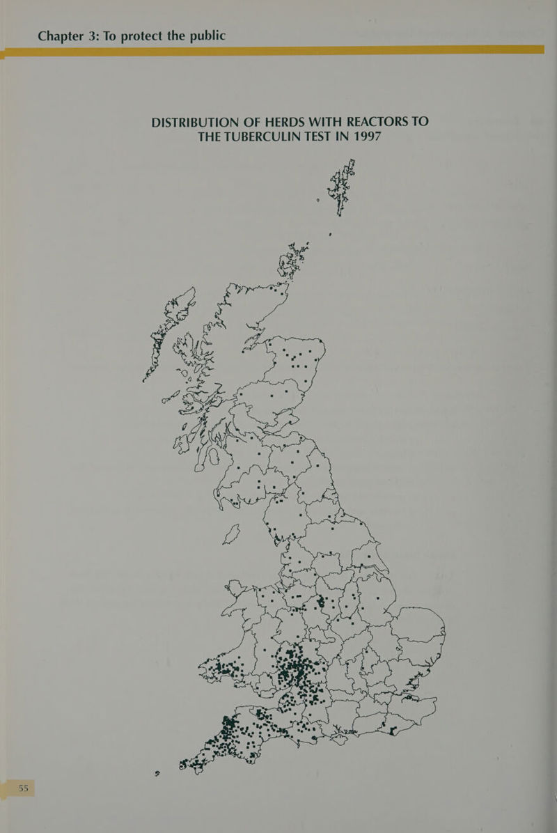 DISTRIBUTION OF HERDS WITH REACTORS TO