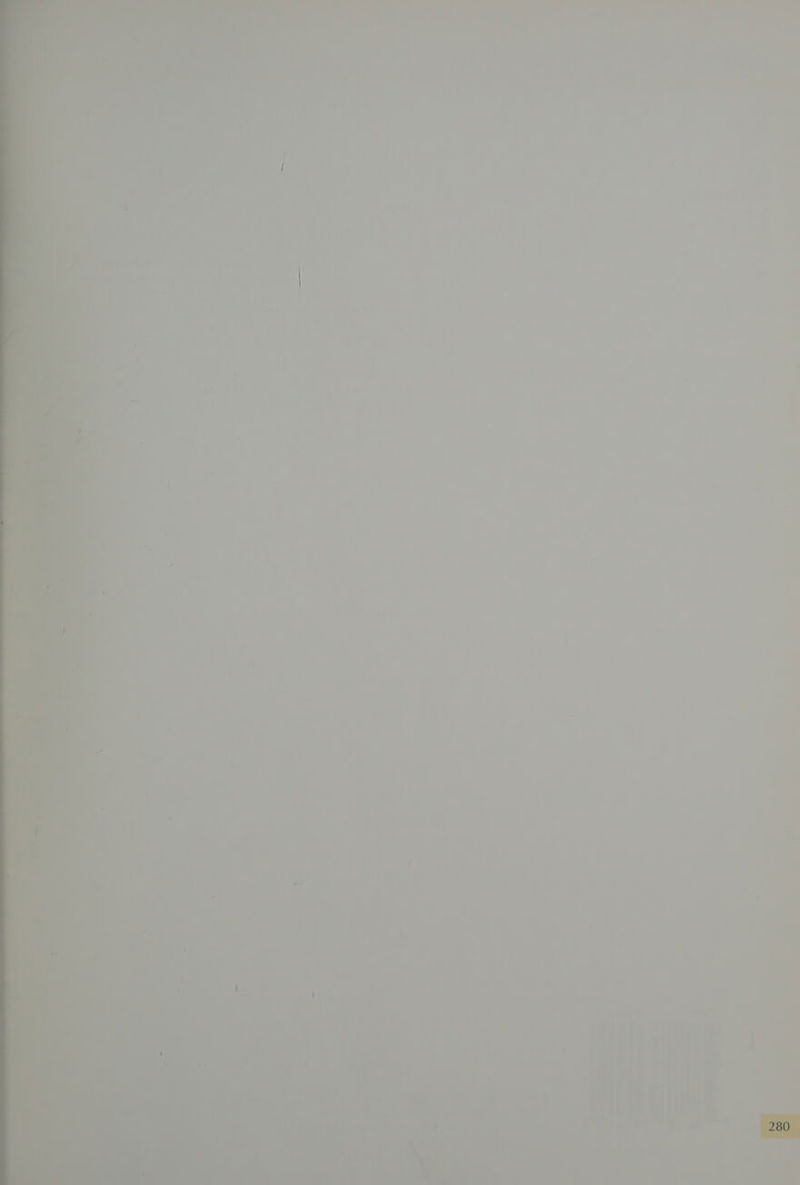 pe =~. = : ani, ' ae _