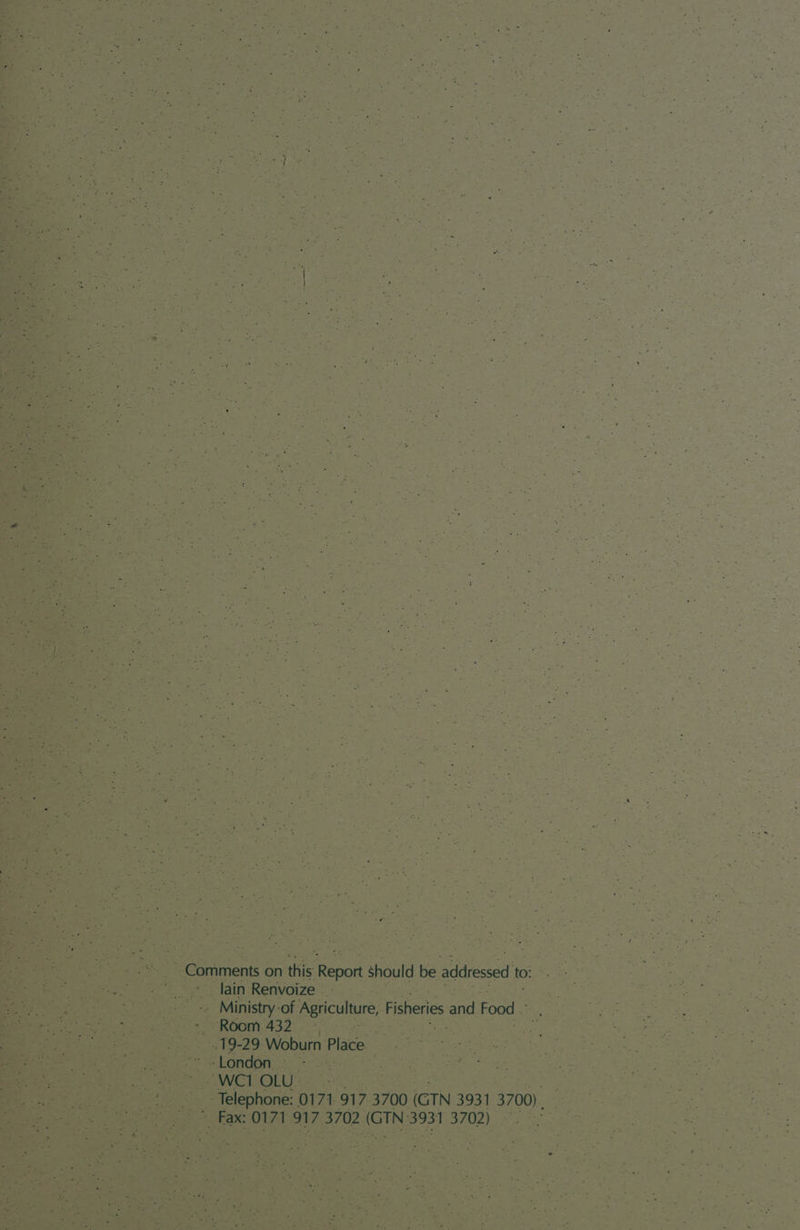 Comments on this Report should be addressed to: x . * Te, 4 2 - ulture, Fisheries and Food - ) (GTN
