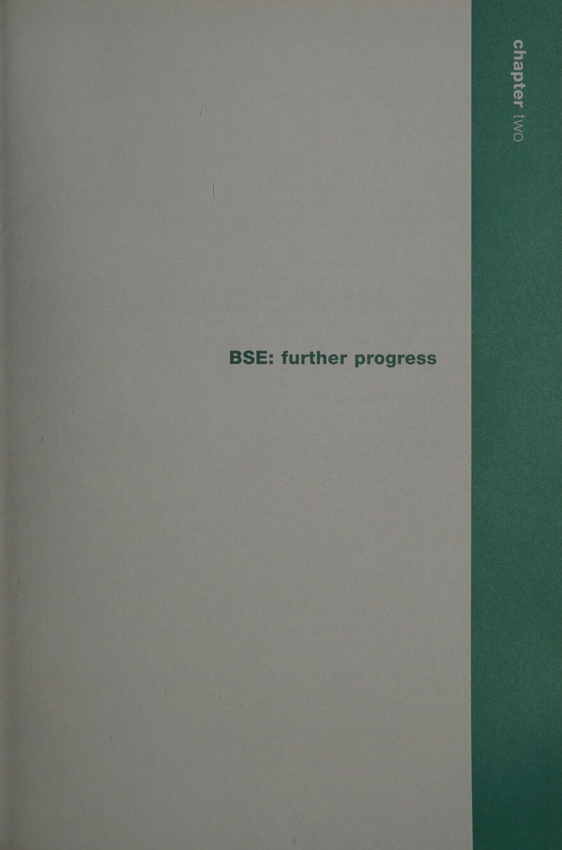 BSE: further progress