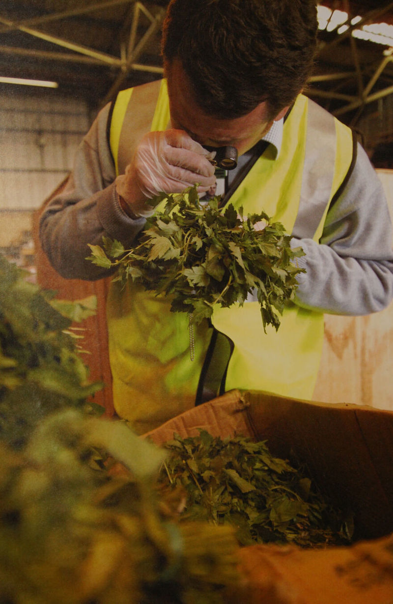 is % ig r th f ps f : ‘ se = - ’ ei se a - a ce #4 ye ay ipa