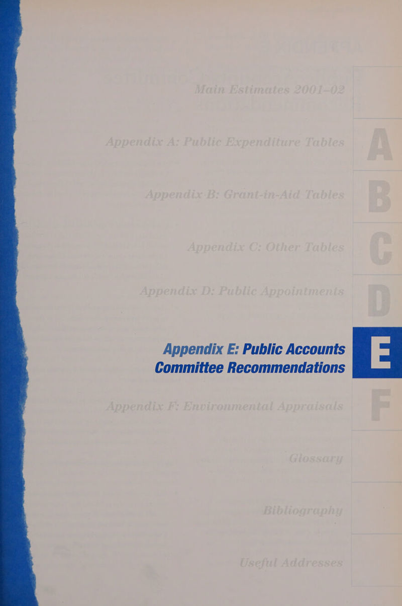 Appendix E: Public Accounts Committee Recommendations +s - aeiiy >? ; E@L ice Lo  &amp; r ; : j _ ry * . - Dtoti af pid, ;
