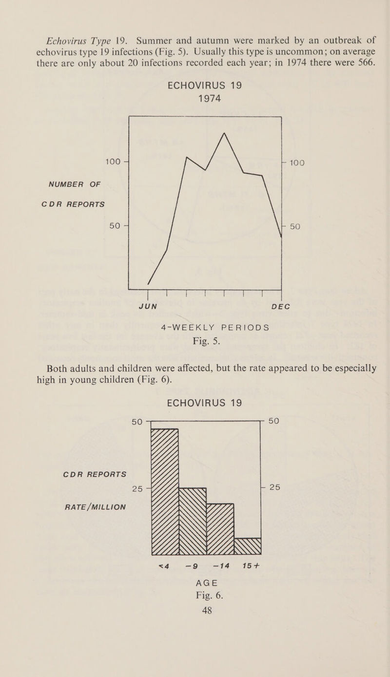 Echovirus Type 19. Summer and autumn were marked by an outbreak of echovirus type 19 infections (Fig. 5). Usually this type is uncommon; on average there are only about 20 infections recorded each year; in 1974 there were 566. ECHOVIRUS 19 1974 100 100 NUMBER OF CDR REPORTS 50 ol 6) JUN DEC 4-WEEKEY PERTOUS Fig. 5. Both adults and children were affected, but the rate appeared to be especially high in young children (Fig. 6). CDR REPORTS RATE /MILLION