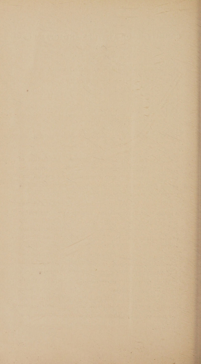 , 4 ‘ ~ . , Poms : :