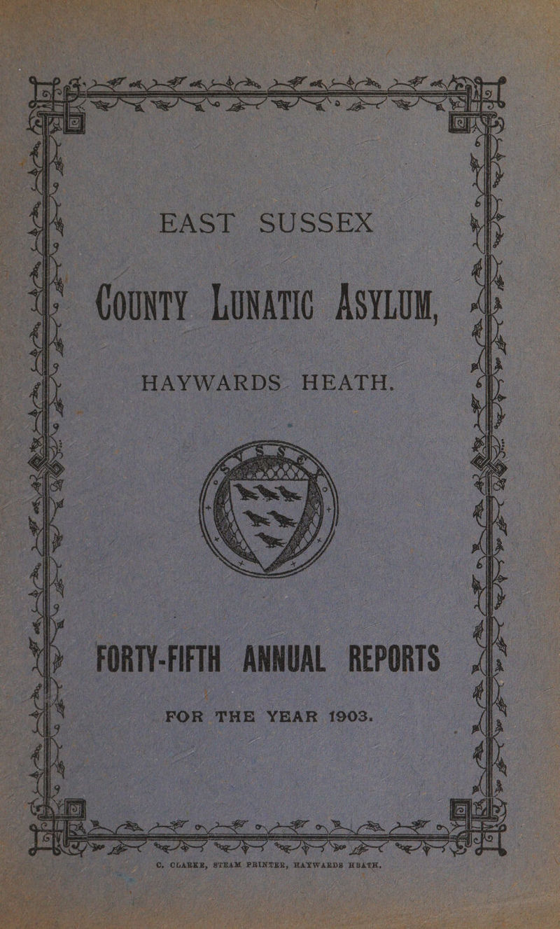 EAST SUSSEX County LUNATIC ASYLUM, -HAYWARDS. HEATH. . FORTY-FIFTH ANNUAL REPORTS : FOR THE YEAR 1903.