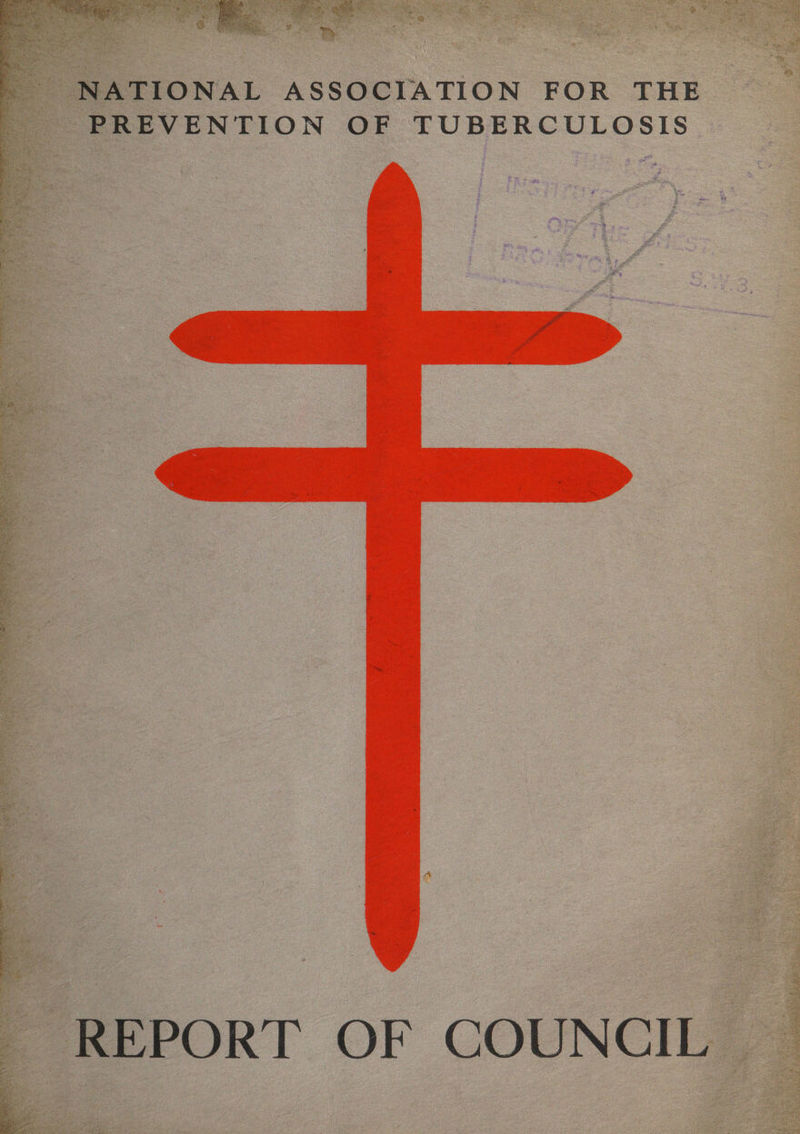 NATIONAL ASSOCIATION FOR THE a PREVENTION OF TUBERCULOSIS REPORT OF COUNCIL