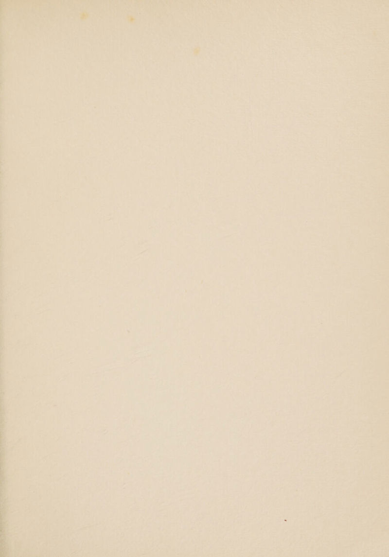 A oie a2 . i emt. ey ud Bia. al Ang . rH ;