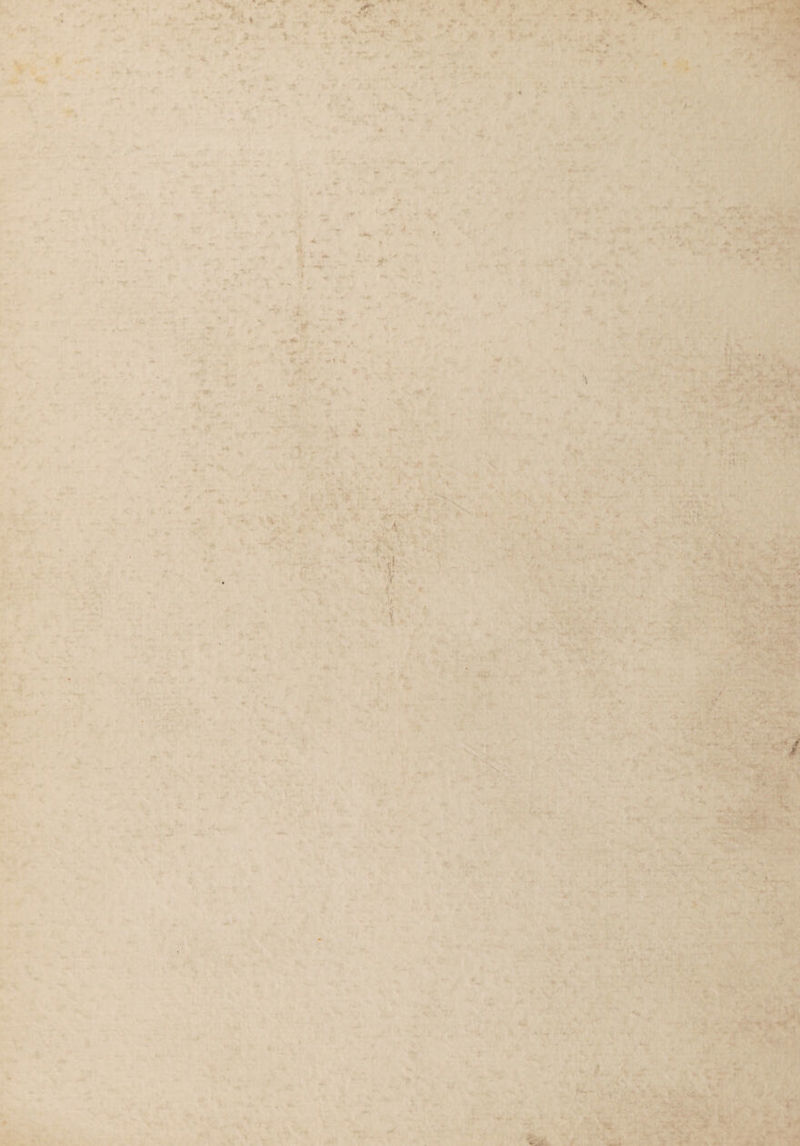 = bs LE Aiea ha Pos och t ie | ae ees f ae ismaks + : » ‘ 4 > J . 2 - peti 2 “ sie ona < ity hd R, hh, sesh “uy