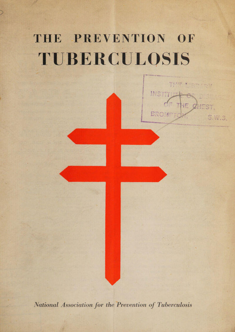 THE PREVENTION OF TUBERCULOSIS National Association for the Prevention of Tuberculosis