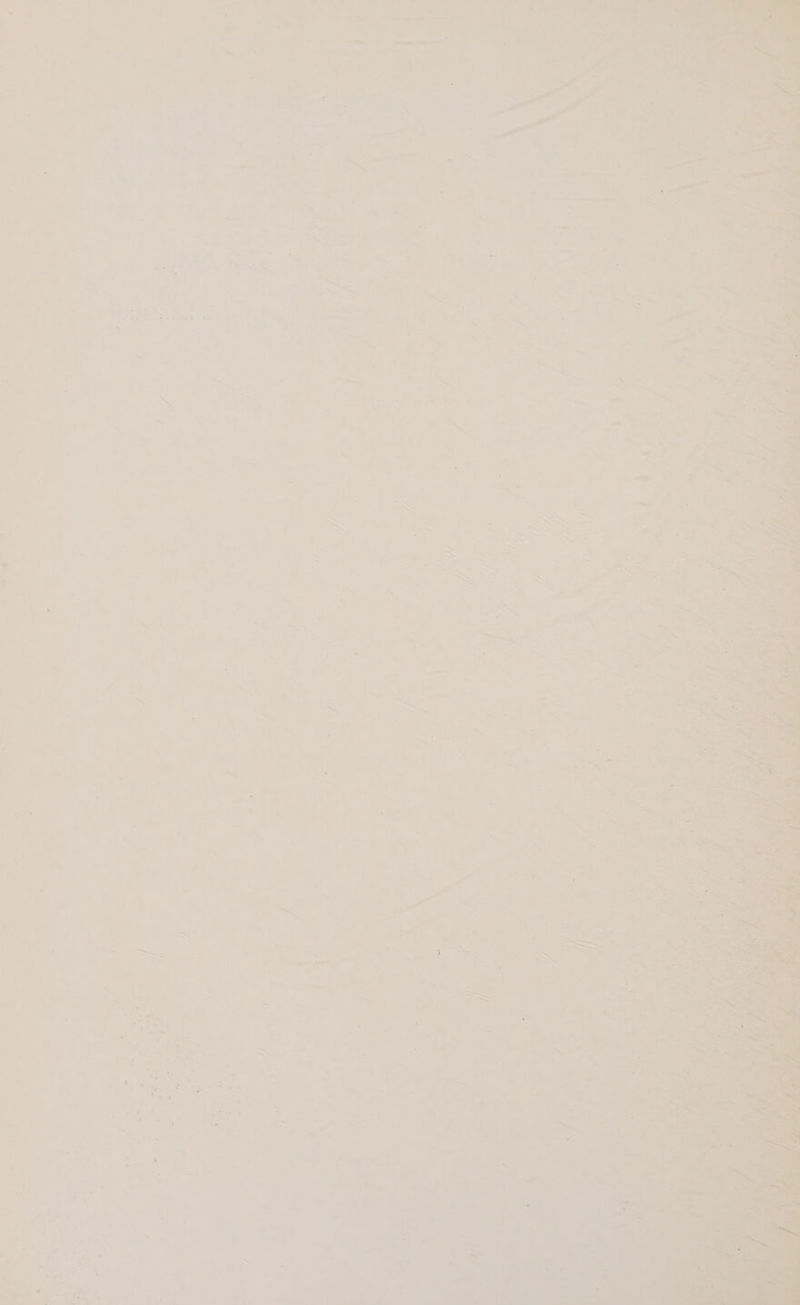 7 * = 7 ere ee. rd m, fe ew ee > A) hdl eee - 4 1 + . ) : Sa ; i ~ t i * 4 <7 b, ; r — a Se F ; a i i ~ ve = = + 1 4 : ~ A < - * . ‘ nie “ ‘ we v i 5 ot ' 1% ‘ a Sh