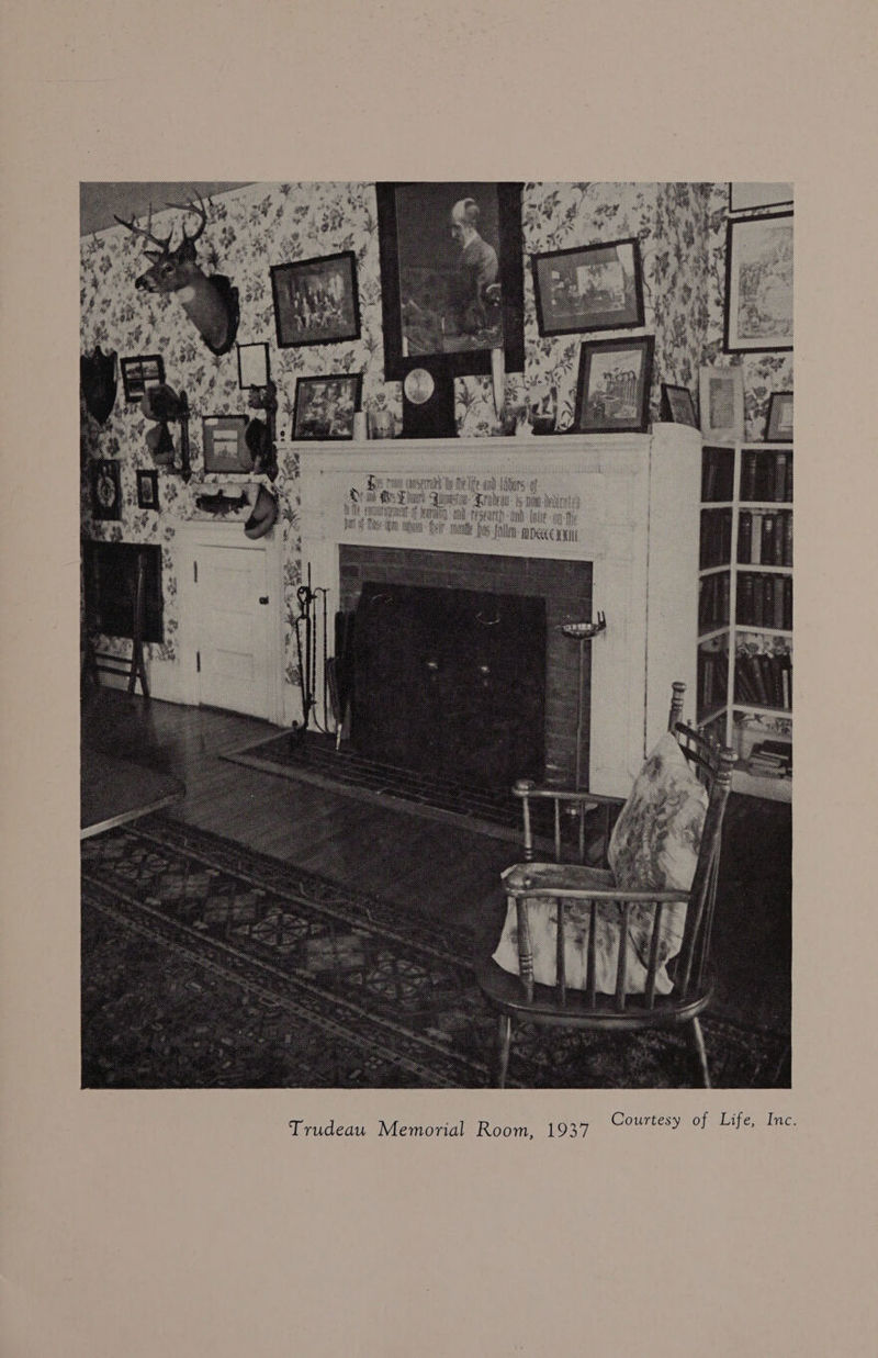 Courtesy of Life, Inc.