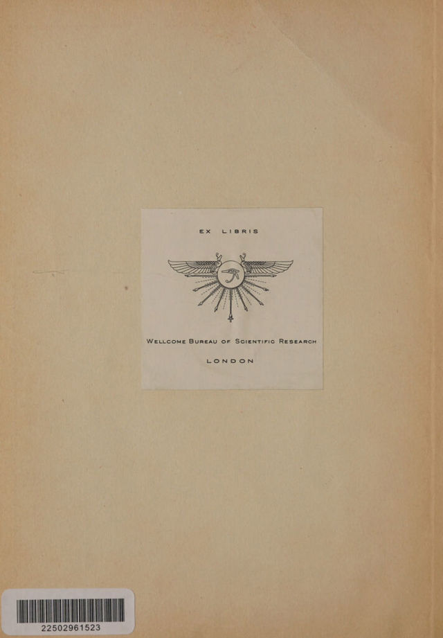 digitised image 2