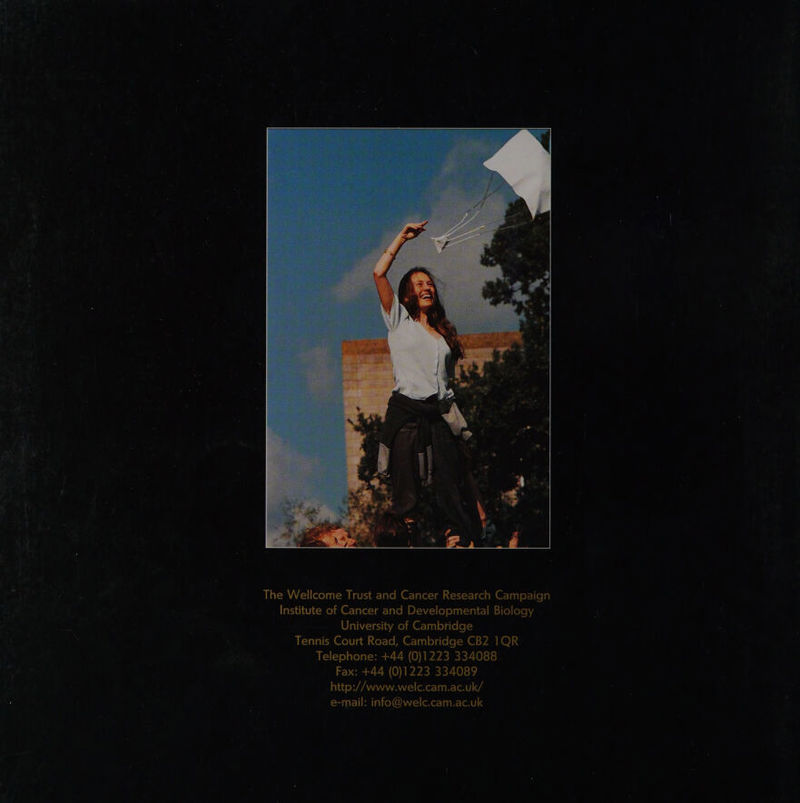 No text description is available for this image