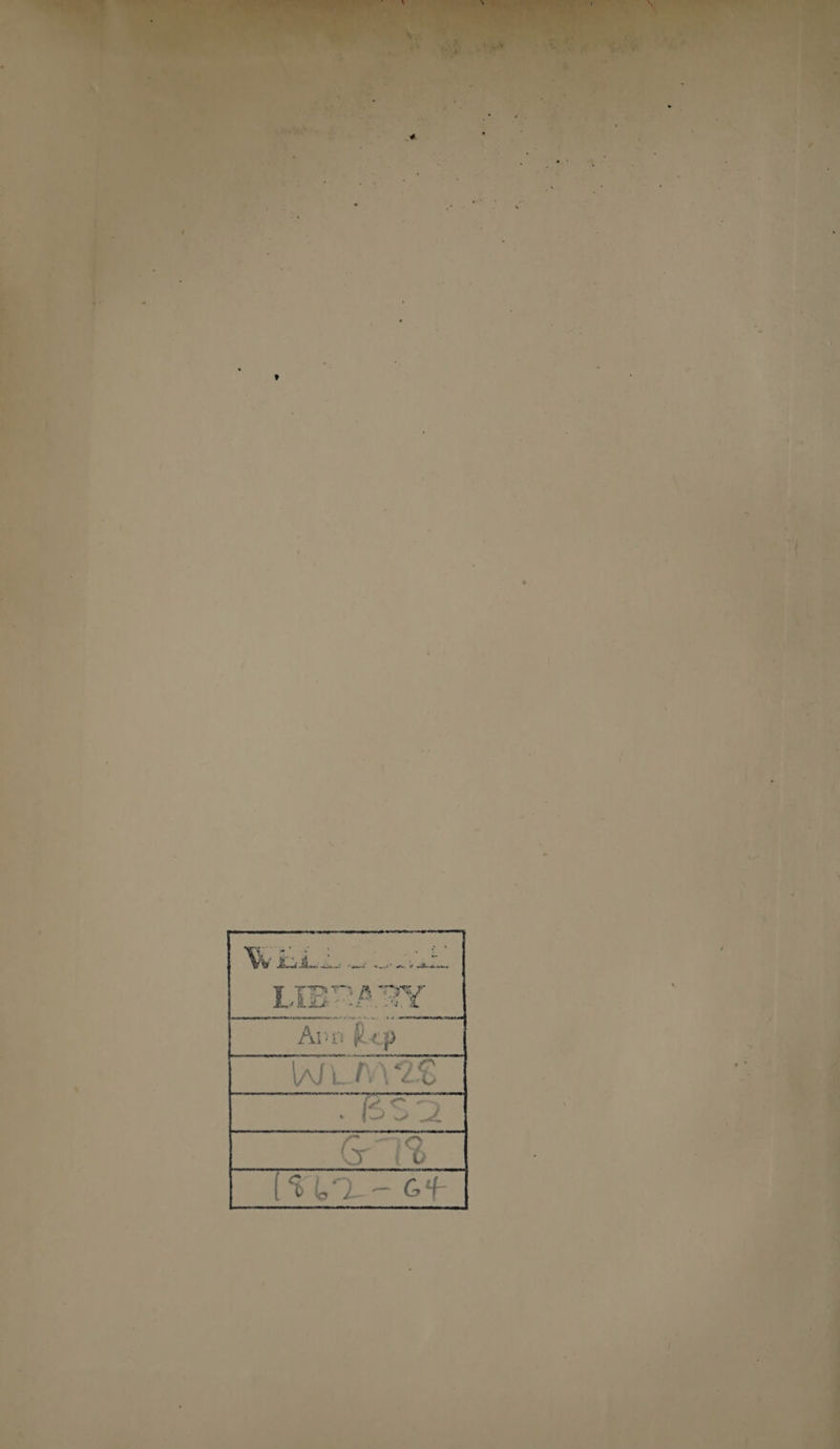 ~ a Y Bead toed = Wiis o-