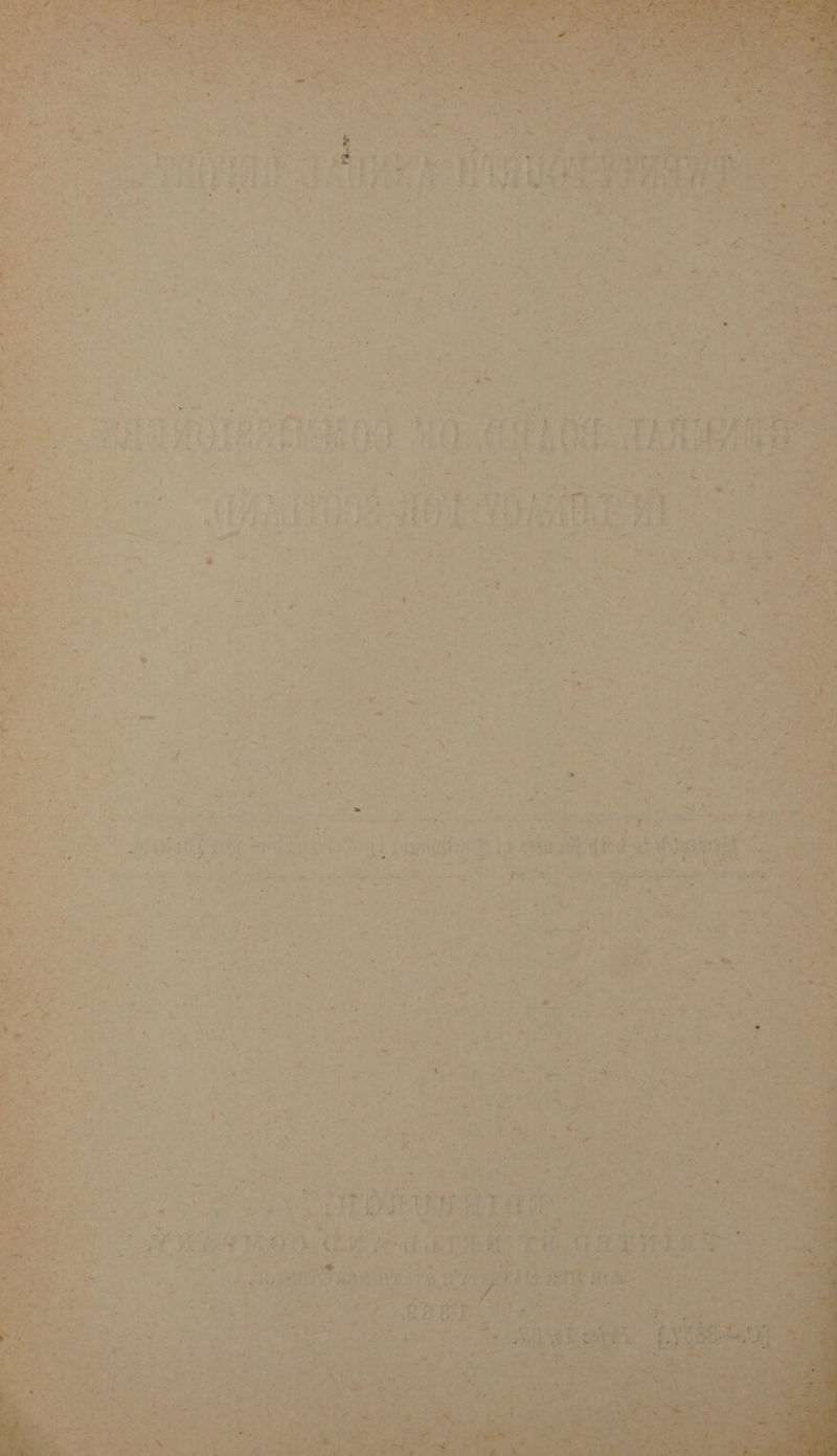 Se review : oi Spe Lor *