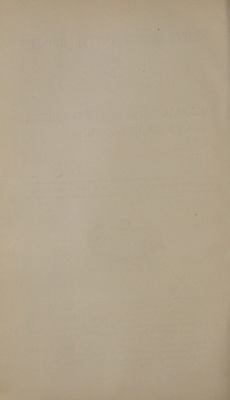 al 7. i Pia 8 sisted a tet wa Ord fs Mee hos an “i ee fie BAU usb 8 ried egal 4, . is ¥ ‘os Oe r, ( A MP ; be here » af i Ve i sii 4 : ‘ phat Pe ry ' rye