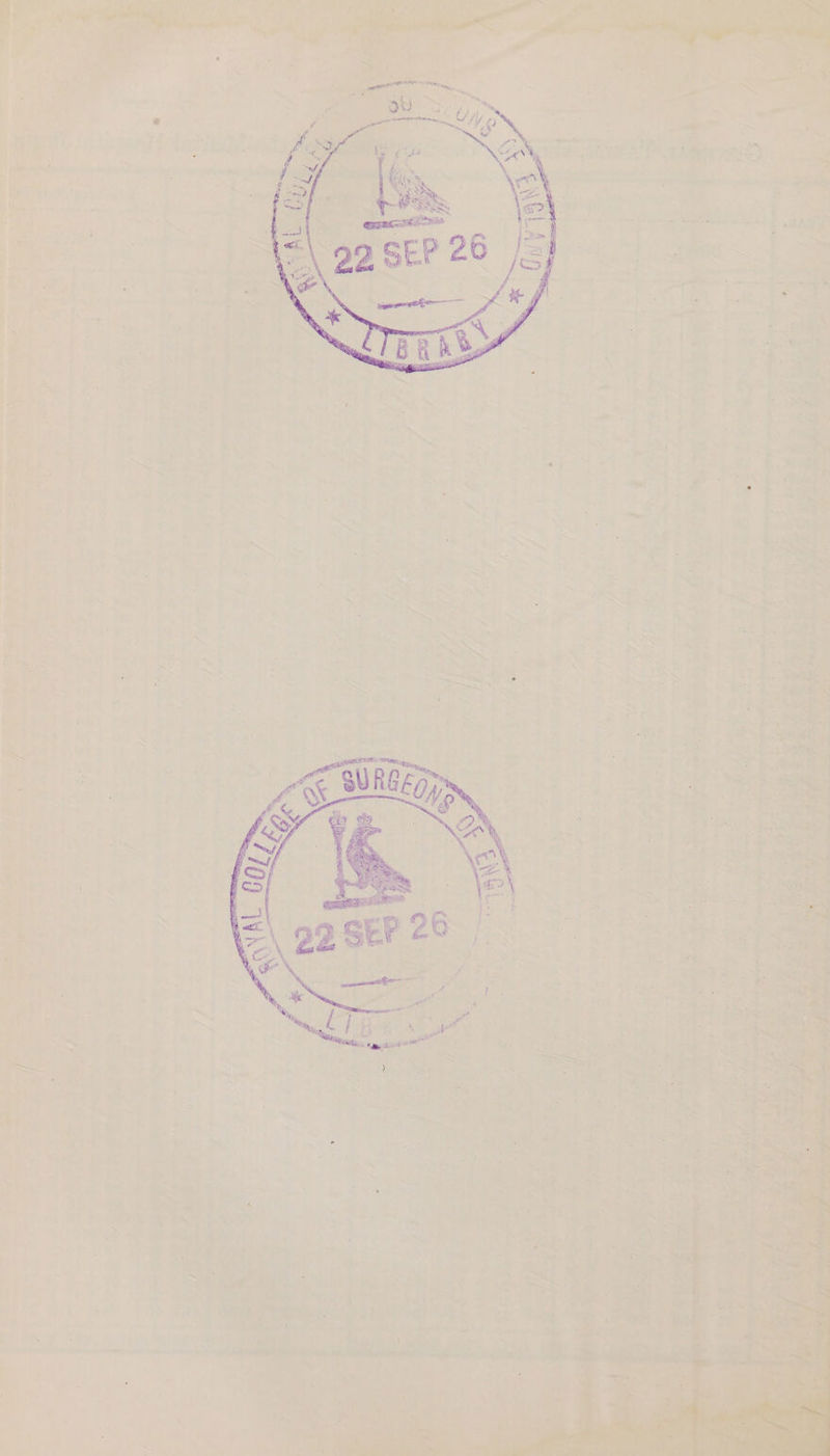 Ws Tew De : pee “ Lxwite ho? ~ abt