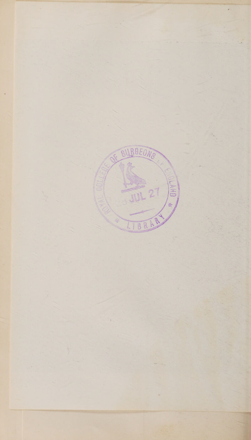 i thi Oe 4 he PE Tree habil ie Pe \ We at } Z# Ria n