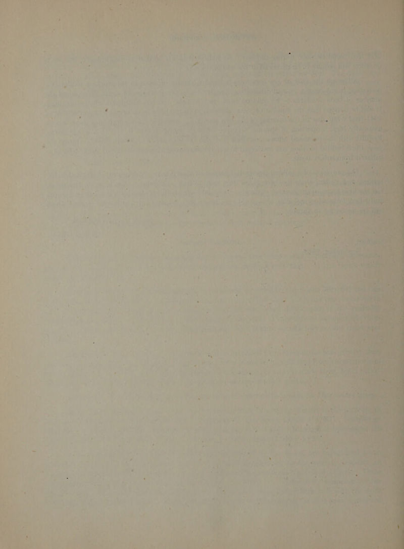 } MIN oi . - - ‘ i it ities $i, eat Cy tal ya My a4 ; — Tec SORELY Ve tate