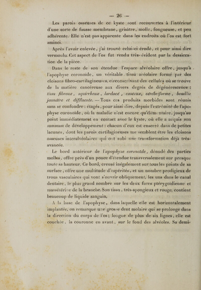 Les parois osseuses de ce kyste sont recouvertes à l’intérieur d’une sorte de fausse membrane, grisâtre, molle, fongueuse, et peu adhérente. Elle n’est pas apparente dans les endroits où l’os est fort aminci. Après l’avoir enlevée, j’ai trouvé celui-ci érodé, et pour ainsi dire vermoulu. Cet aspect de l’os fut rendu très-évident par la dessicca¬ tion de la pièce. Dans le reste de son étendue l’espace alvéolaire offre, jusqu’à . l’apophyse coronoïde, un véritable tissu aréolaire formé par des cloisons ftbro-cartilagineuses, circonscrivant des cellules où se trouve de la matière cancéreuse aux divers degrés de dégénérescence : tissu fibreux, squirrheux , lardacé , caséeux, cérébriforme , bouillie jaunâtre et diffluente.—Tous ces produits morbides sont réunis sans se confondre : étagés, pour ainsi dire, depuis l’extrémité de l’apo¬ physe coronoïde, où la maladie n’est encore qu’élémentaire, jusqu’au point immédiatement en contact avec le kyste, où elle a acquis son summum de développement : chacun d’eux est enserré dans de petites lacunes, dont les parois cartilagineuses me semblent être les cloisons osseuses interalvéolaires qui ont subi une transformation déjà très- ' ! ( y . * j avancée. Le bord antérieur de Xapophyse coronoïde, dénudé des parties molles , offre près d’un pouce d’étendue transversalement sur presque toute sa hauteur. Ce bord, creusé inégalement sur tous les points de sa surface, offre une multitude d’aspérités, et un nombre prodigieux de trous vasculaires qui vont s’ouvrir obliquement, les uns dans le canal dentaire, le plus grand nombre sur les deux faces ptérygoïdienne et massétérine de la branche. Son tissu . très-spongieux et rouge, contient beaucoup de liquide sanguin, À la base de l’apophyse, dans laquelle eile est horizontalement implantée, on remarque une grosse dent molaire qui se prolonge dans la direction du corps de l’os; longue de plus de six lignes, elle est couchée, la couronne en avant, sur le fond des alvéoles. Sa demi-