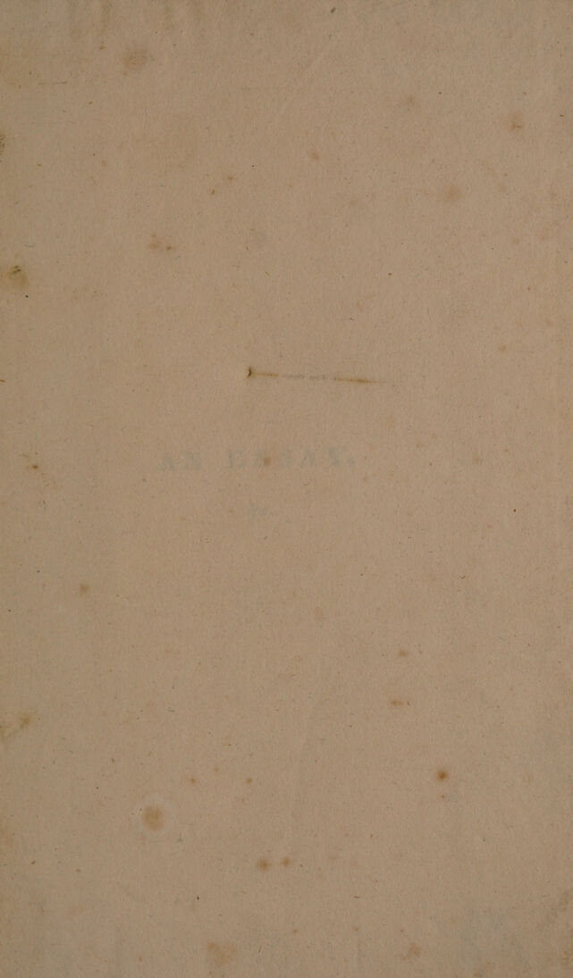 digitised image 3