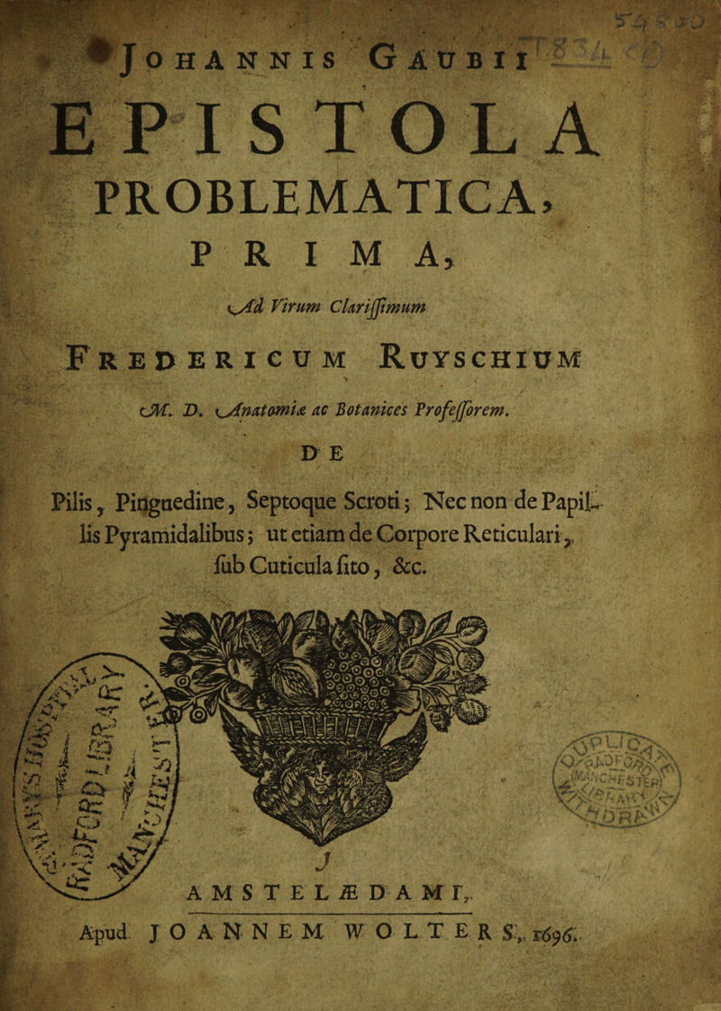 v- ■' ohannis Gaubii •1 •• EPISTOLA PROBLEMATICA, PRIMA, Virum CUrijJimum Frepericum Ruyschium cM. D. ^yfmtmia ac Botanices Profefforem. . . % D E Pilis, Pinguedine, Septoque Scroti; Nec non de Papil¬ lis Pyramidalibus; ut etiam de Corpore Reticulari,, iub Cuticula fito, &amp;c.