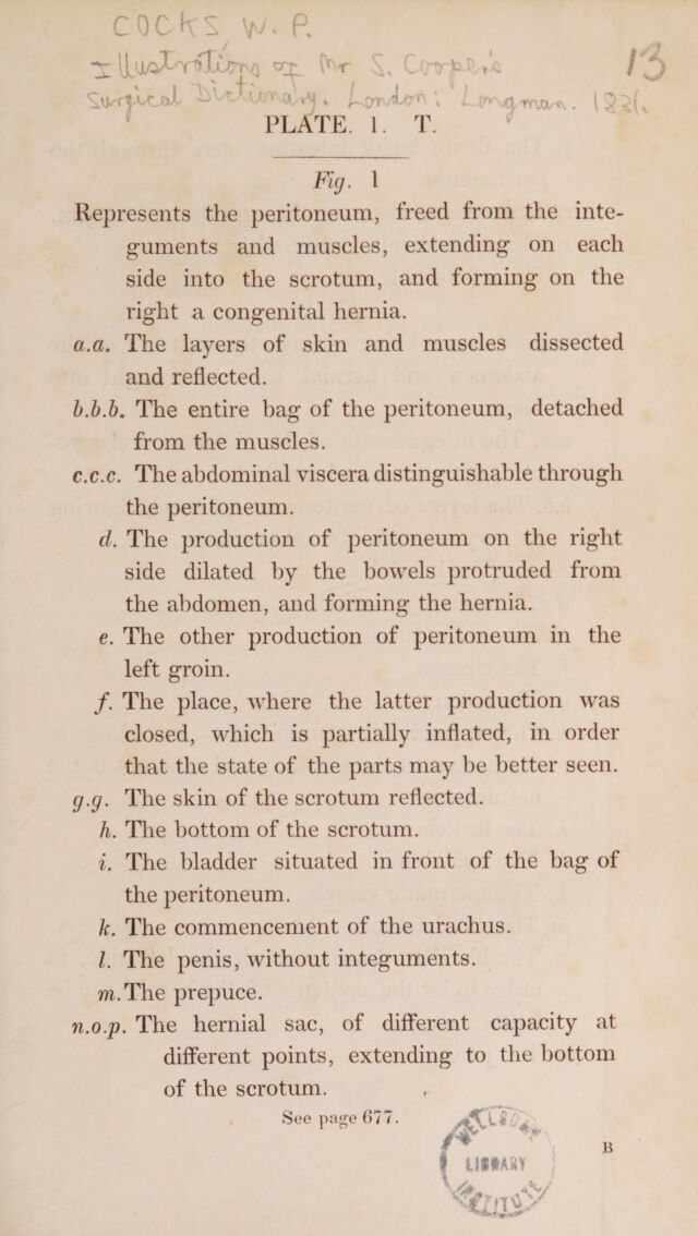 digitised image 1