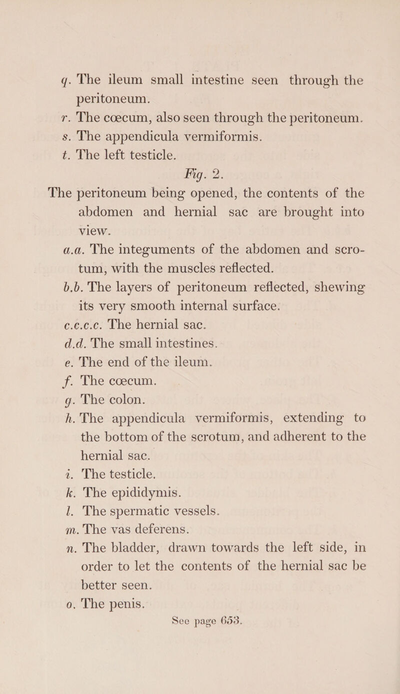 q. The ileum small intestine seen through the peritoneum. r. The coecum, also seen through the peritoneum. s. The appendicula vermiformis. t. The left testicle. Fig. 2. The peritoneum being opened, the contents of the abdomen and hernial sac are brought into view. a. a. The integuments of the abdomen and scro¬ tum, with the muscles reflected. b. b. The layers of peritoneum reflected, shewing its very smooth internal surface, c. c.c.c. The hernial sac. cl.d. The small intestines. e. The end of the ileum. /. The coecum. g. The colon. h. The appendicula vermiformis, extending to the bottom of the scrotum, and adherent to the hernial sac. i. The testicle. k. The epididymis. l. The spermatic vessels. m. The vas deferens. n. The bladder, drawn towards the left side, in order to let the contents of the hernial sac be better seen. o. The penis.