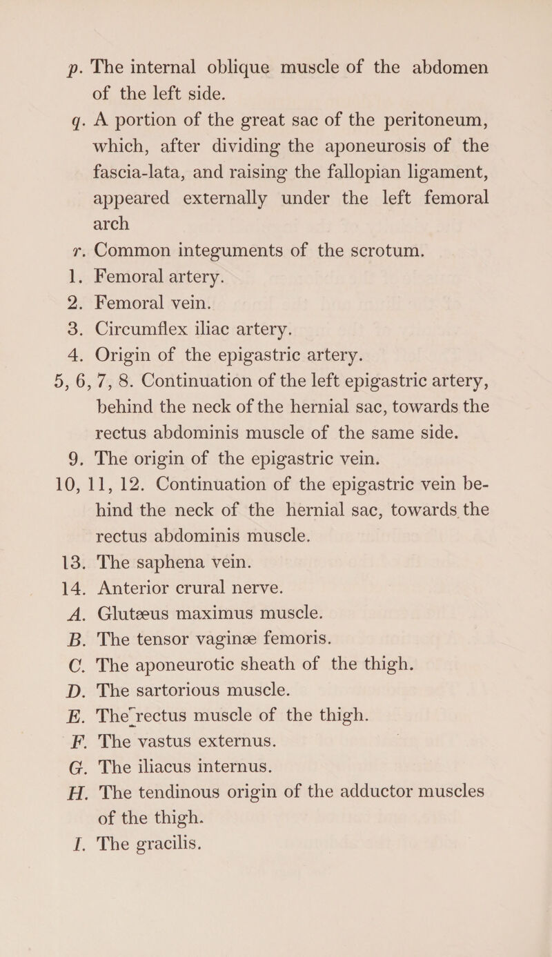 p. The internal oblique muscle of the abdomen of the left side. q. A portion of the great sac of the peritoneum, which, after dividing the aponeurosis of the fascia-lata, and raising the fallopian ligament, appeared externally under the left femoral arch r. Common integuments of the scrotum. 1. Femoral artery. 2. Femoral vein. 3. Circumflex iliac artery. 4. Origin of the epigastric artery. 5, 6, 7, 8. Continuation of the left epigastric artery, behind the neck of the hernial sac, towards the rectus abdominis muscle of the same side. 9. The origin of the epigastric vein. 10, 11, 12. Continuation of the epigastric vein be¬ hind the neck of the hernial sac, towards the rectus abdominis muscle. 13. The saphena vein. 14. Anterior crural nerve. A. Gluteeus maximus muscle. B. The tensor vaginae femoris. C. The aponeurotic sheath of the thigh. D. The sartorious muscle. E. TheAectus muscle of the thigh. F. The vastus externus. G. The iliacus internus. H. The tendinous origin of the adductor muscles of the thigh. /. The gracilis.