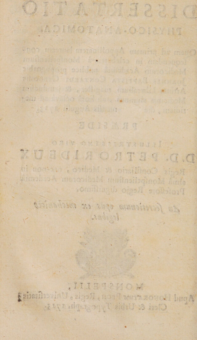 digitised image 2
