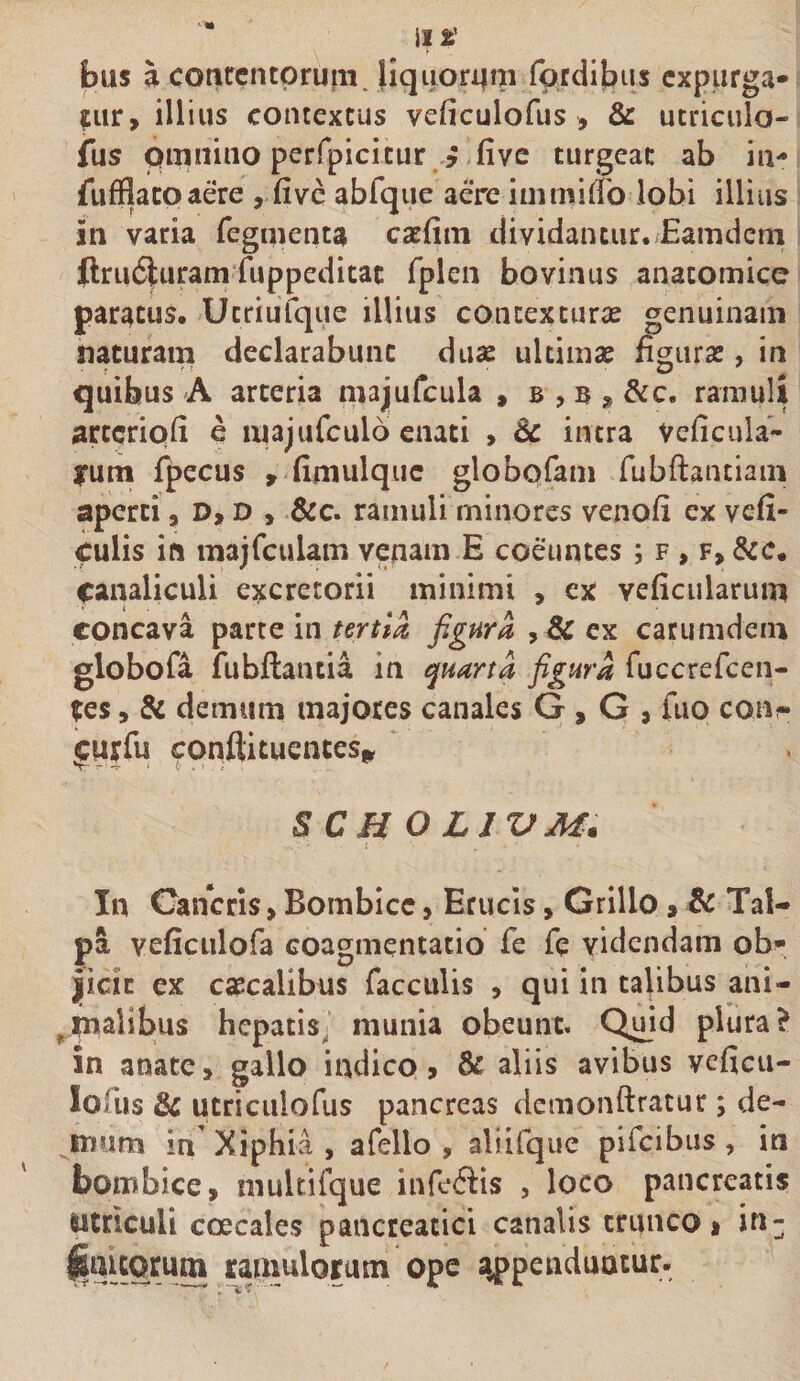 bus a contentorum. liqiioriim (ordibus cxpiirga- fiir, illius contextus veficulofus , &amp; ucriculo- fus omnino perfpicitur y (ive turgeat ab in- fufflacoaere , (ive abfqiie aere immillb lobi illius in varia Tegmenta catlim dividantur. Eamdcm ftru6J:uram fuppeditat fplen bovinus anatomice paratus. Utriufqiie illius contexturas genuinam naturam declarabunt duae ultimae fissurae, in quibus A arteria niajufcula , b , b &amp;c. ramuli artcrioli e nujufculo enati , &amp; intra veficula- fum fpecus , fimulquc globofam Tubftantiain aperti ,0,0, &amp;c. ramuli minores venofi ex vefi- culis in majfculam venam E coeuntes ; f , f, &amp;c. canaliculi excretorii minimi , ex veficularum concava parte in tertia figura ,&amp; ex carumdem globofa fubftantia in quarta figura TuccreTcen- ?es, &amp; demum majores canales G , G , Tuo con?- ^urfu conilicuences,^ SC H O LIV M. In Cancris, Bombicc, Erucis» Grillo &gt; &amp; Tal¬ pa veficulofa coagmentatio Te Te videndam ob^ iicit ex caecalibus Tacculis , qui in talibus ani- ^jmalibiis hepatis^' munia obeunt. Qmd plura? in anate&gt; gallo indico» &amp; aliis avibus veficu- lofus Si utriculoTus pancreas dcmonftratur; de- ^mum in’ Xiphia , afello , aliifque piTcibus , in bombice, mukifque inTeftis , loco pancreatis utriculi coecales pancreatici canalis trunco i in- ^nitorum ramulorum ope sippenduatur.