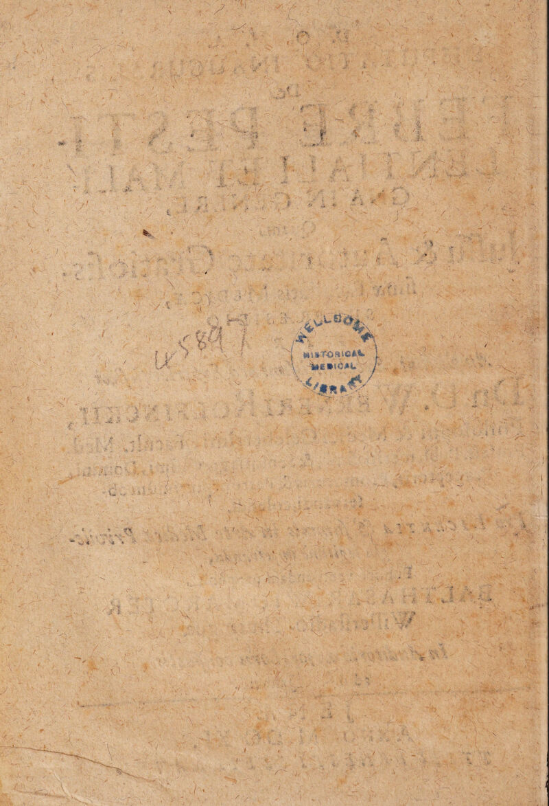 w. ' «pij ^ \W-fj. :'<J- A i \X ^ Ult*