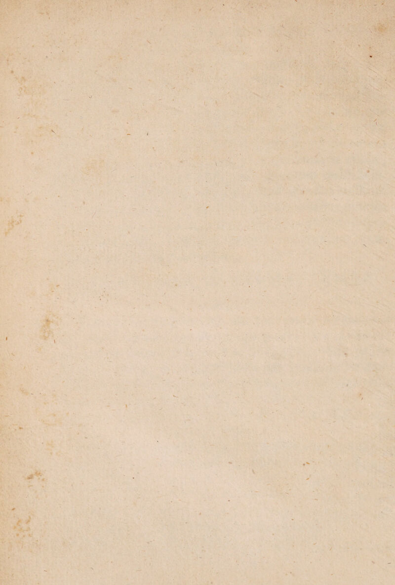 4 i. V f, t \ , . , . . / 1 . /. \ \ < C »J' -