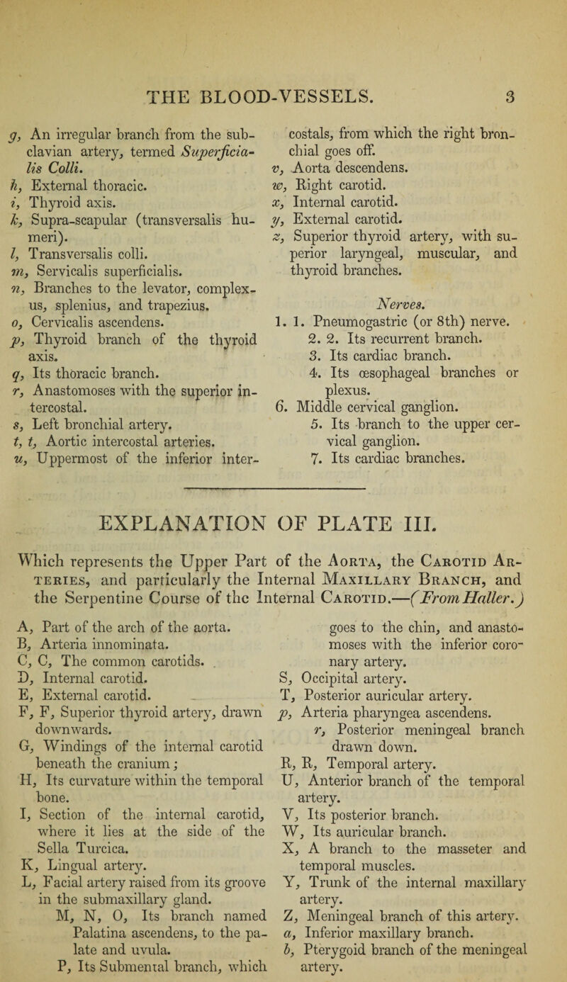 g, An irregular branch from the sub¬ clavian artery, termed Superjicia- lis Colli. h, External thoracic. i, Thyroid axis. k, Supra-scapular (transversalis hu¬ meri). l, Transversalis colli. m3 Servicalis superficialis. n, Branches to the levator, complex- us, splenius, and trapezius. o, Cervicalis ascendens. p, Thyroid branch of the thyroid axis. q, Its thoracic branch. r, Anastomoses with the superior in¬ tercostal. s, Left bronchial artery. t, t, Aortic intercostal arteries. u, Uppermost of the inferior inter- costals, from which the right bron¬ chial goes off. v, Aorta descendens. w, Right carotid. x, Internal carotid. y, External carotid. £, Superior thyroid artery, with su¬ perior laryngeal, muscular, and thyroid branches. Nerves. 1.1. Pneumogastric (or 8th) nerve. 2. 2. Its recurrent branch. 3. Its cardiac branch. 4. Its oesophageal branches or plexus. 6. Middle cervical ganglion. 5. Its branch to the upper cer¬ vical ganglion. 7. Its cardiac branches. EXPLANATION OF PLATE III. Which represents the Upper Part of the Aorta, the Carotid Ar¬ teries, and particularly the Internal Maxillary Branch, and the Serpentine Course of the Internal Carotid.—(FromHaller.) A, Part of the arch of the aorta. B, Arteria innominata. C, C, The common carotids. I), Internal carotid. E, External carotid. F, F, Superior thyroid artery, drawn downwards. G, Windings of the internal carotid beneath the cranium; H, Its curvature within the temporal bone. I, Section of the internal carotid, where it lies at the side of the Sella Turcica. K, Lingual artery. L, Facial artery raised from its groove in the submaxillary gland. M, N, 0, Its branch named Palatina ascendens, to the pa¬ late and uvula. P, Its Submenial branch, which goes to the chin, and anasto¬ moses with the inferior coro¬ nary artery. S, Occipital artery. T, Posterior auricular artery. p, Arteria pharyngea ascendens. r, Posterior meningeal branch drawn down. R, R, Temporal artery. U, Anterior branch of the temporal artery. V, Its posterior branch. W, Its auricular branch. X, A branch to the masseter and temporal muscles. Y, Trunk of the internal maxillary artery. Z, Meningeal branch of this artery. a, Inferior maxillary branch. b, Pterygoid branch of the meningeal artery.